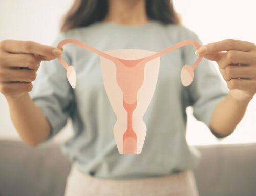 Znaczenie endometrium przed transferem zarodka – co warto wiedzieć?