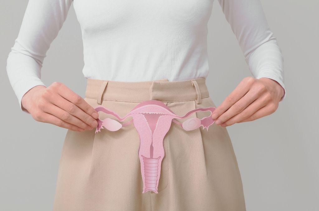 Kobieta prezentująca schemat macicy i jajników, ilustracja używana w artykułach o punkcji jajników i leczeniu niepłodności – Fertimedica Warszawa Mokotów.