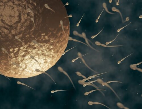 Krew w nasieniu (hematospermia) podczas starań o dziecko. Co oznacza i kiedy wymaga diagnostyki?